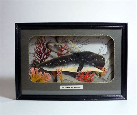 celine chevrel|Delightful Diorama Art Offers a Peek into the Lives of Sea Creatures.